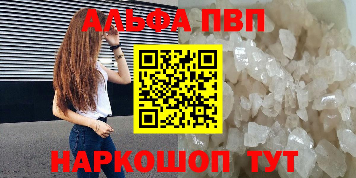 A-PVP СК Алейск